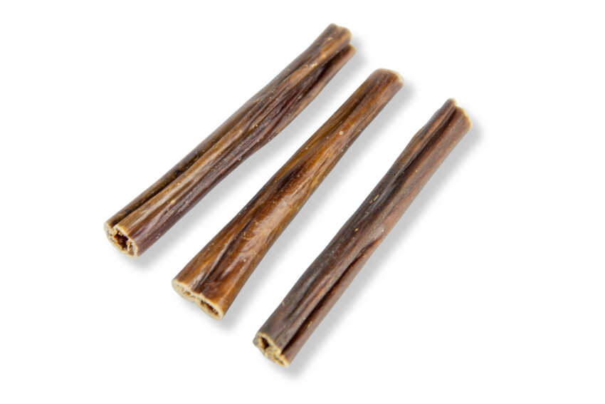 Esôfago Palito