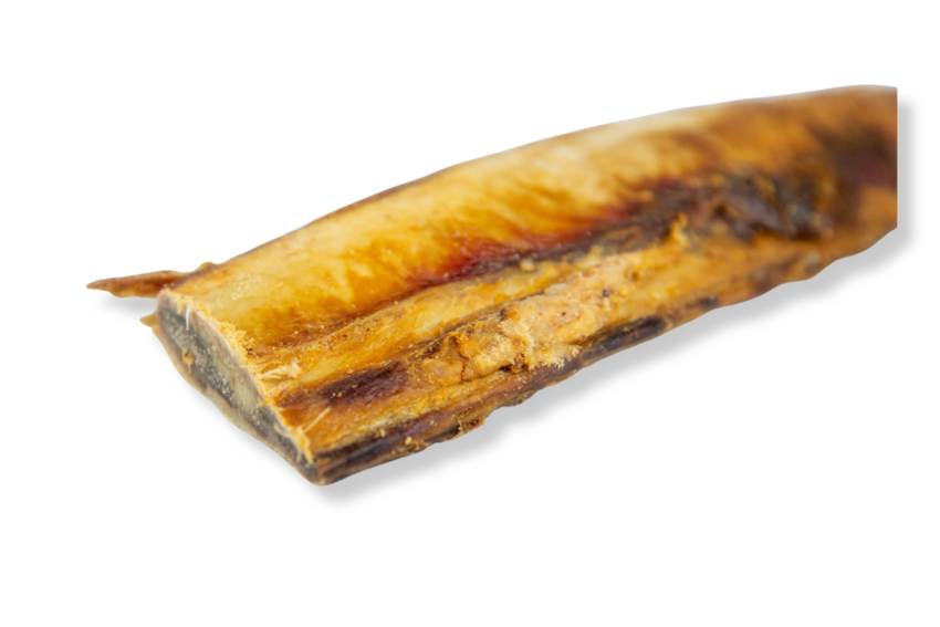 Osso de Costela