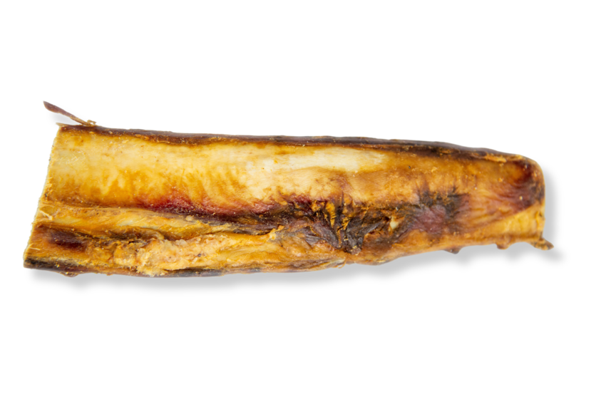 Osso de Costela