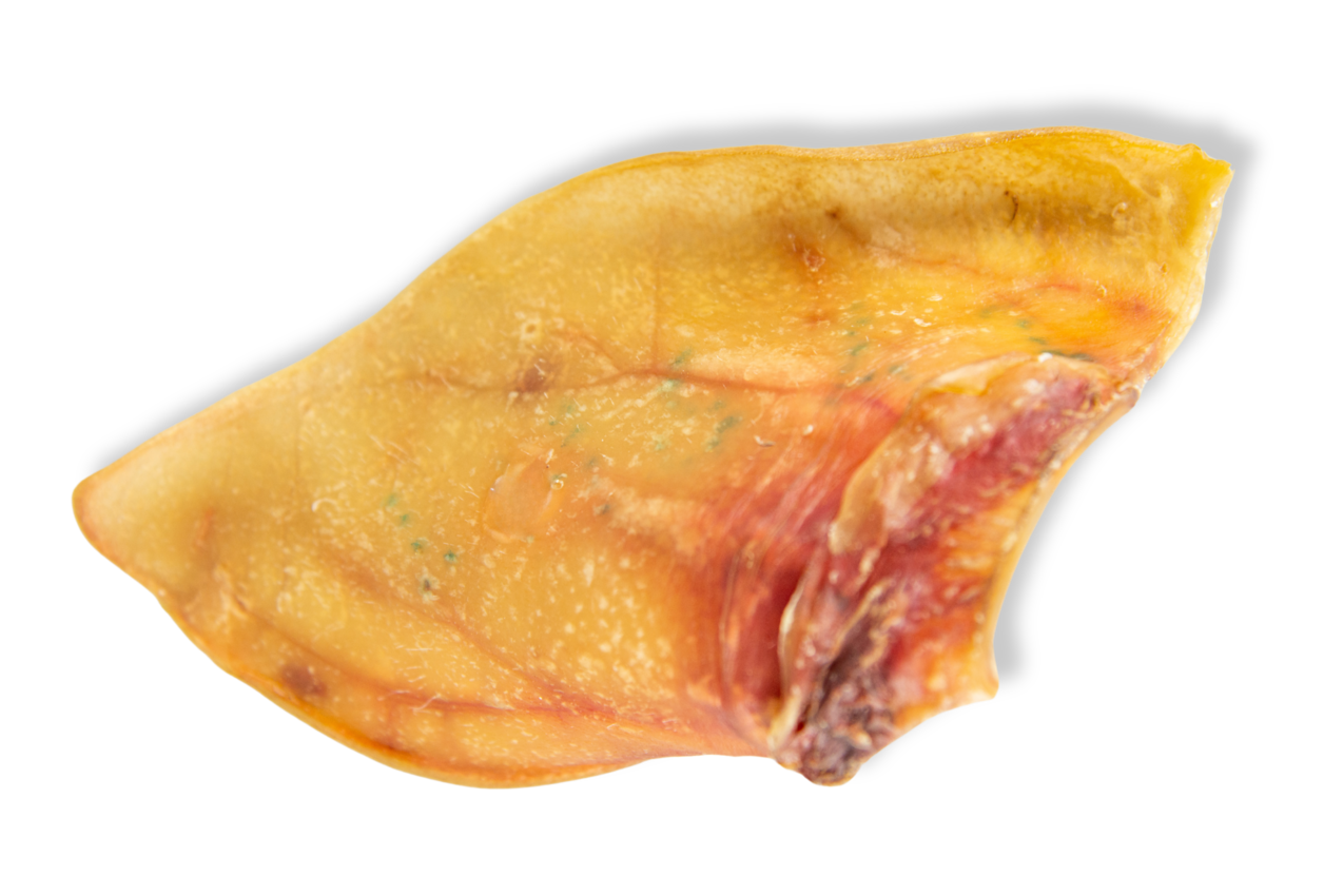 Orelha Suína Jumbo