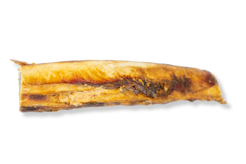 Osso de Costela